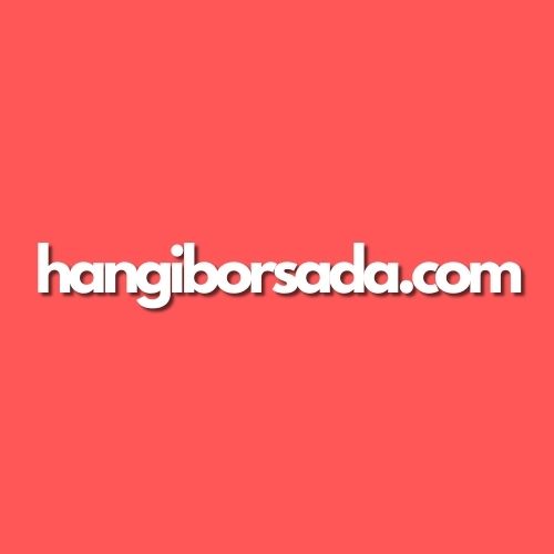 hangiborsada logo